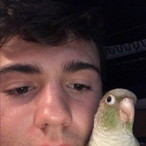 Meet your Posher, Carter